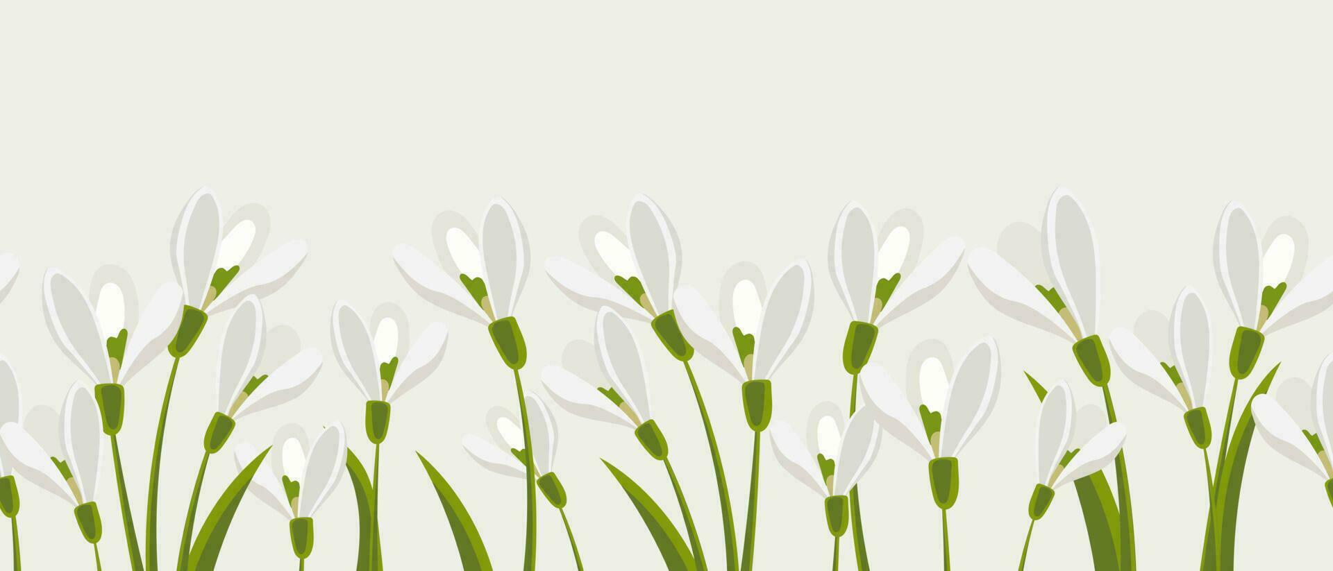 Seamless border, spring flowers snowdrops. Spring background with copy space. Illustration, vector