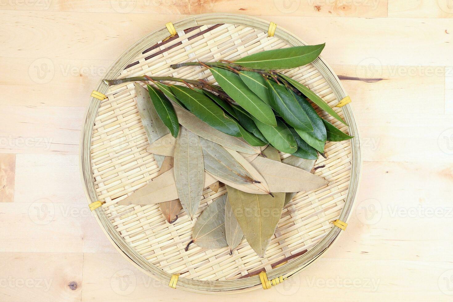 Bay leaf herb spice photo