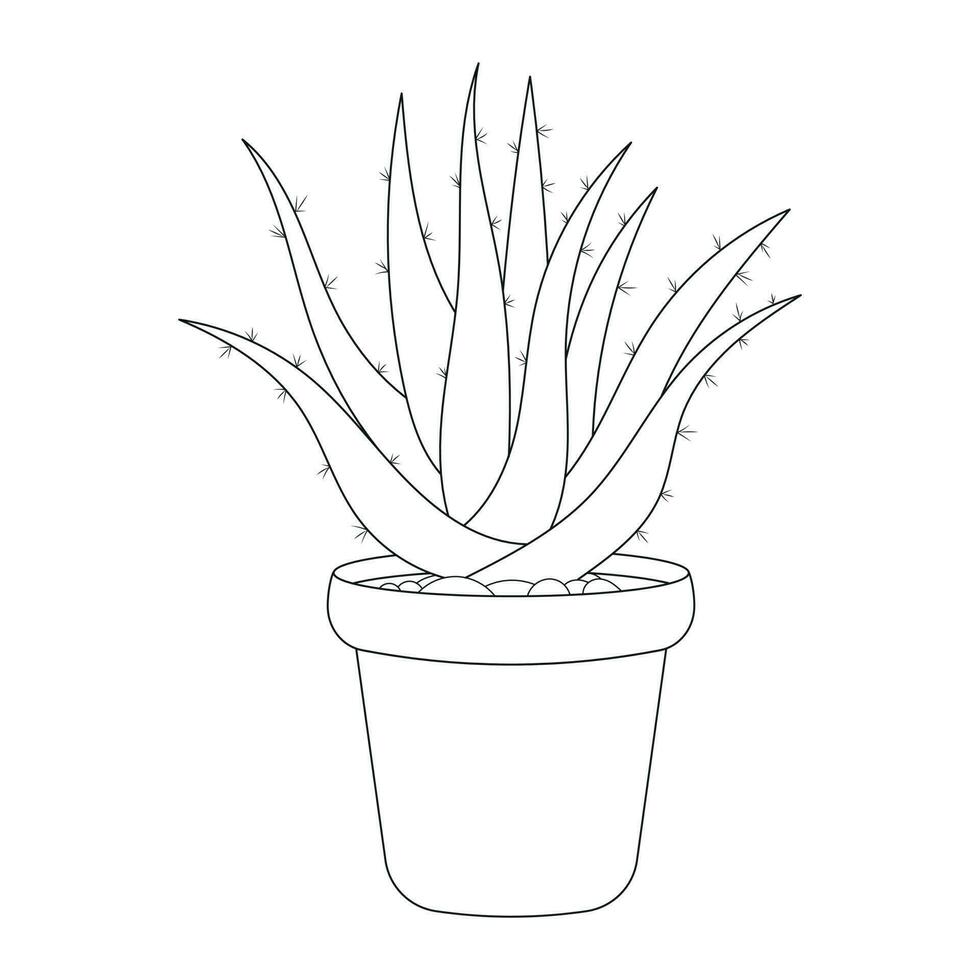 Hand drawn Black and White Cactus Outline Vector Illustration