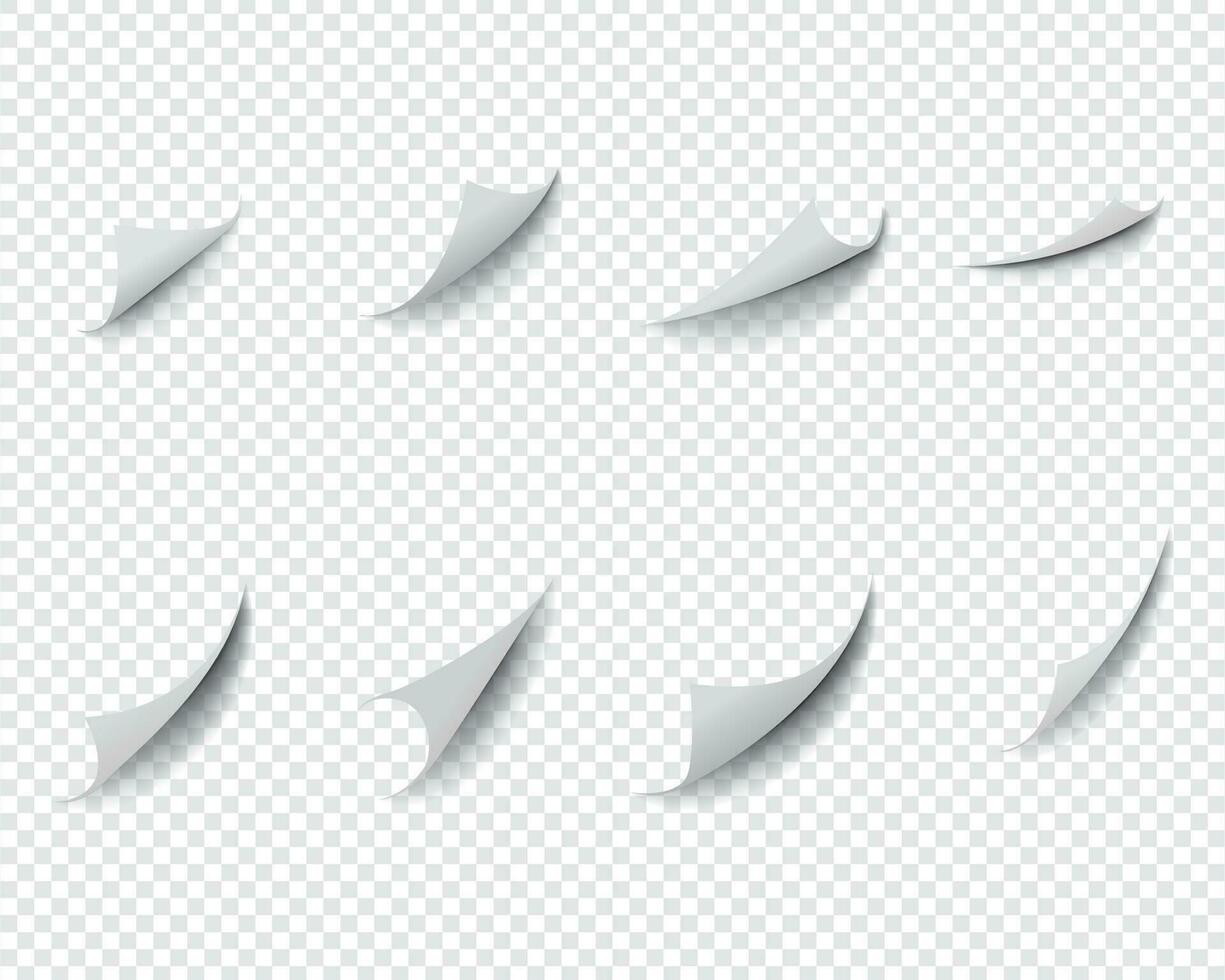 curl and bent papers sheet with realistic shadow vector