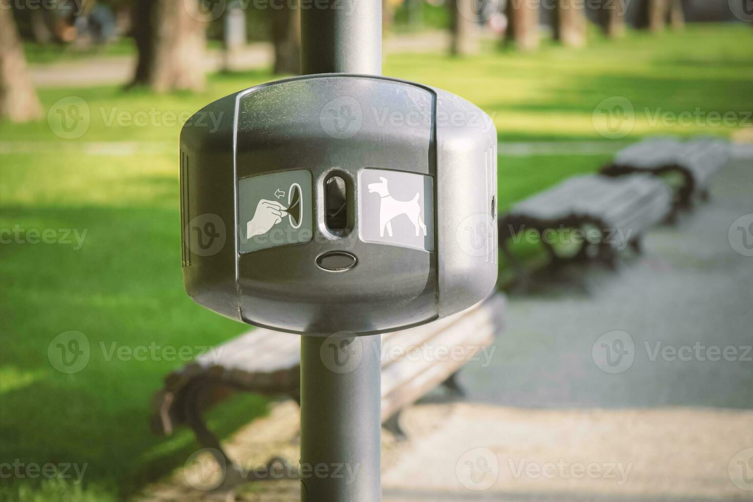 Plastic bag dispenser for dog poo in park with visible benches and green grass lawns on the background on sunny day photo