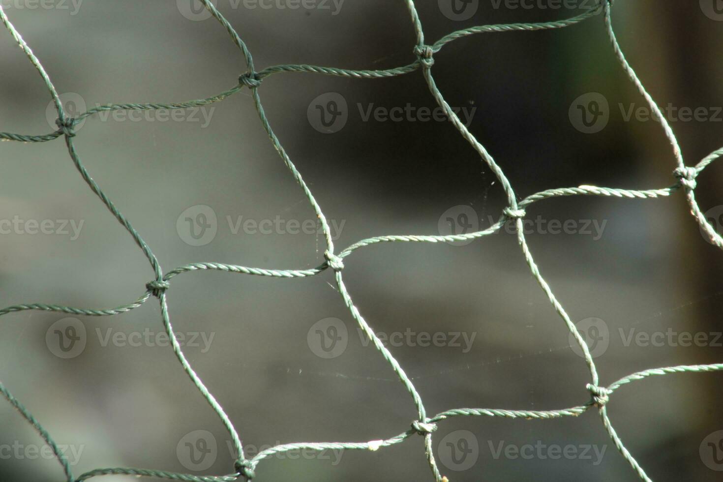 net texture suitable for background and wallpaper photo