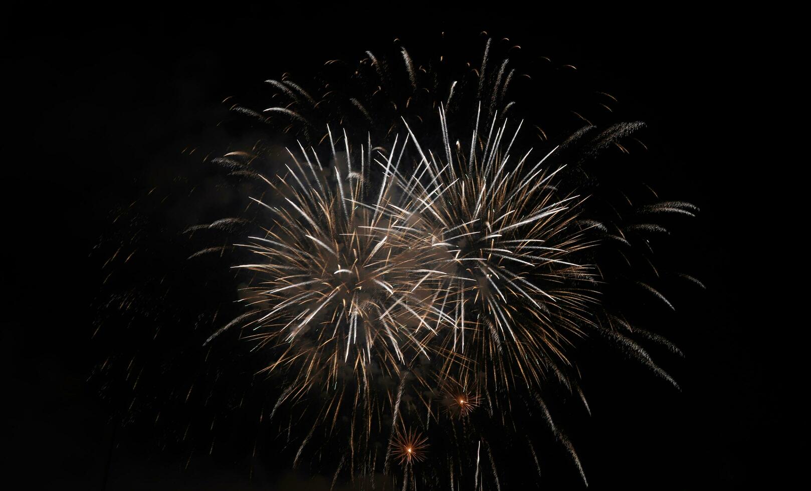 Colorful firework background photo