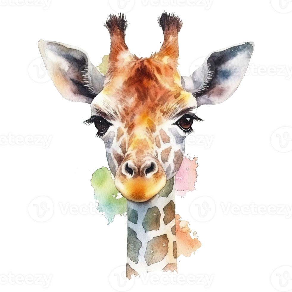Watercolor giraffe isolated on transparent background. png