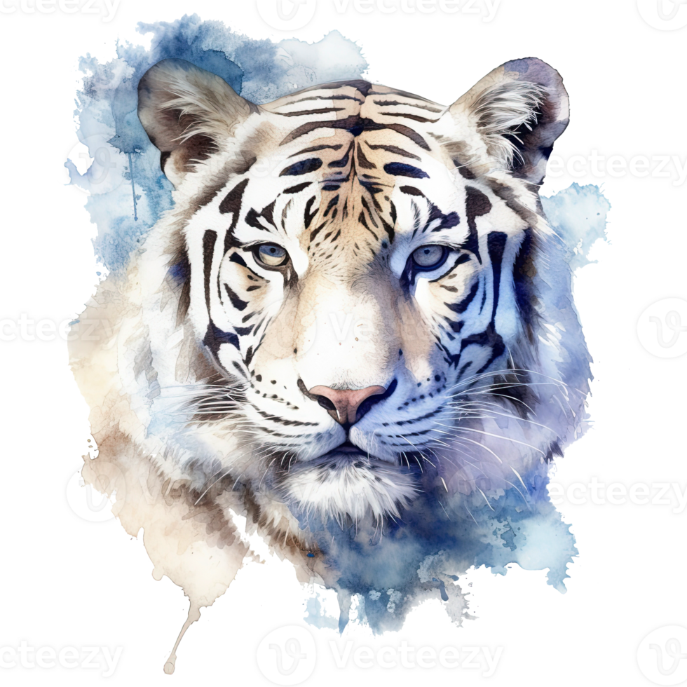 Watercolor white tiger animal isolated on transparent background. png
