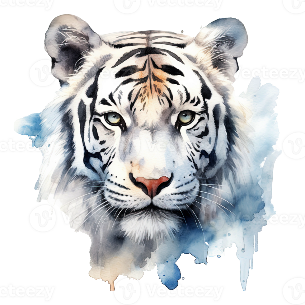 Watercolor white tiger animal isolated on transparent background. png