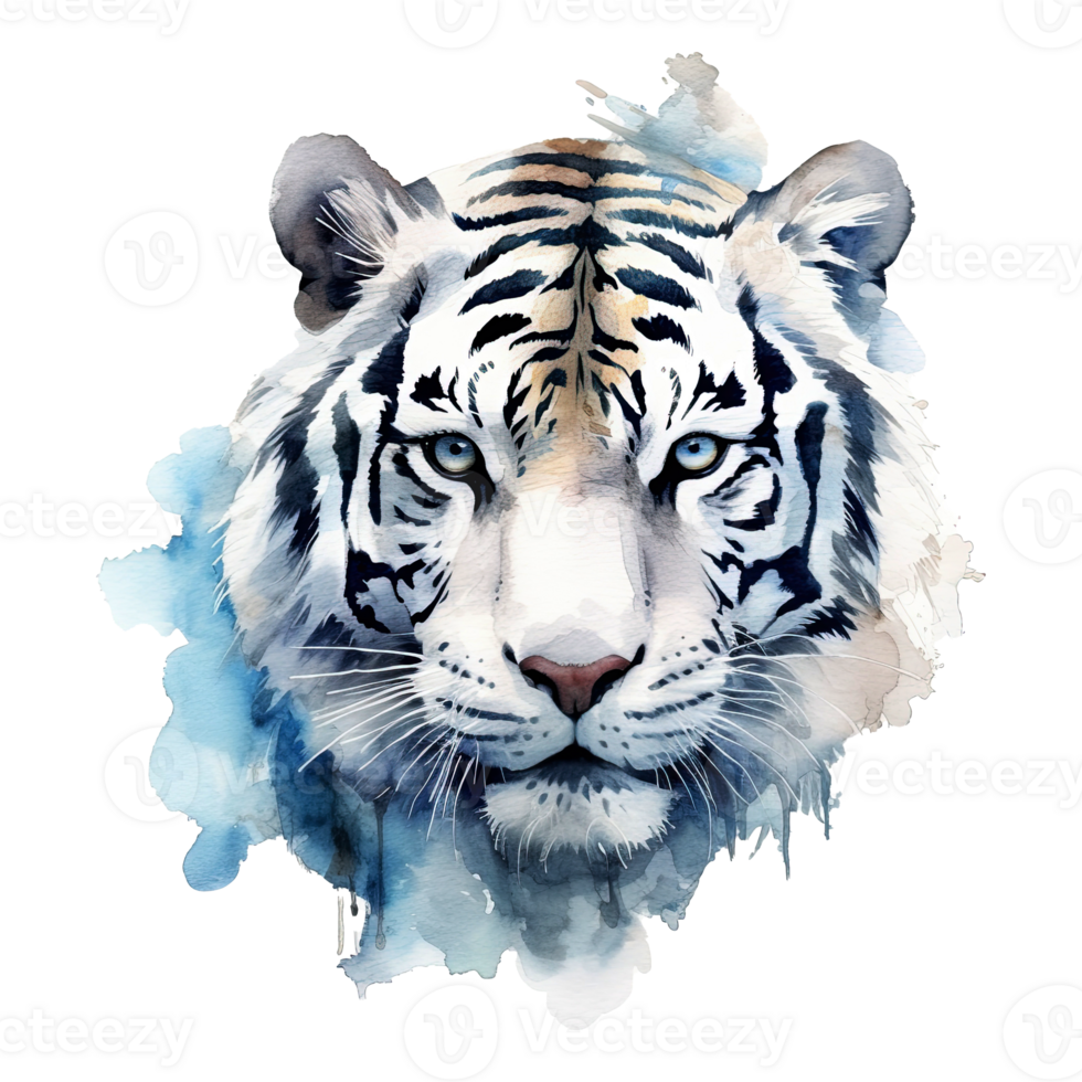 Watercolor white tiger animal isolated on transparent background. png
