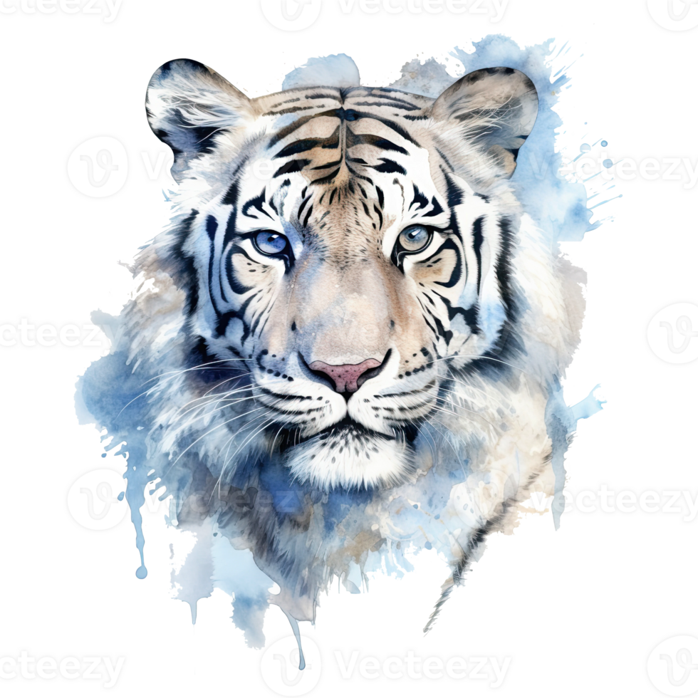 Watercolor white tiger animal isolated on transparent background. png