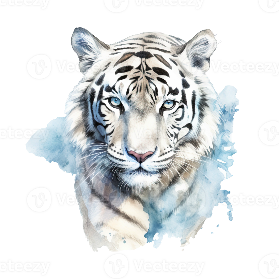 Watercolor white tiger animal isolated on transparent background. png