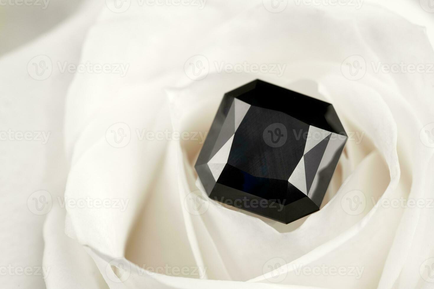 Black Diamond on White Rose Petals photo