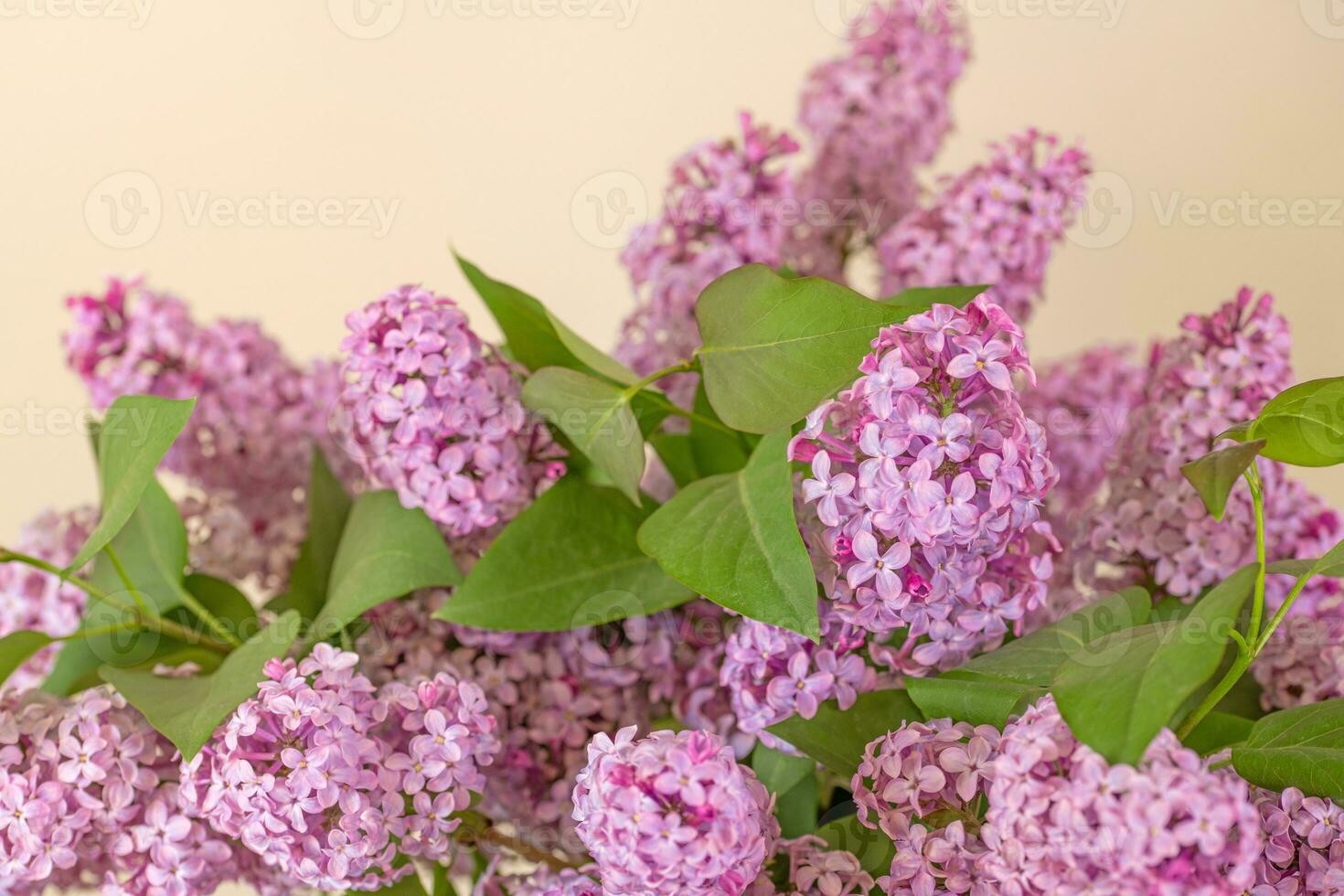 Violet Pink Lilac Flowers Bouquet on Table photo
