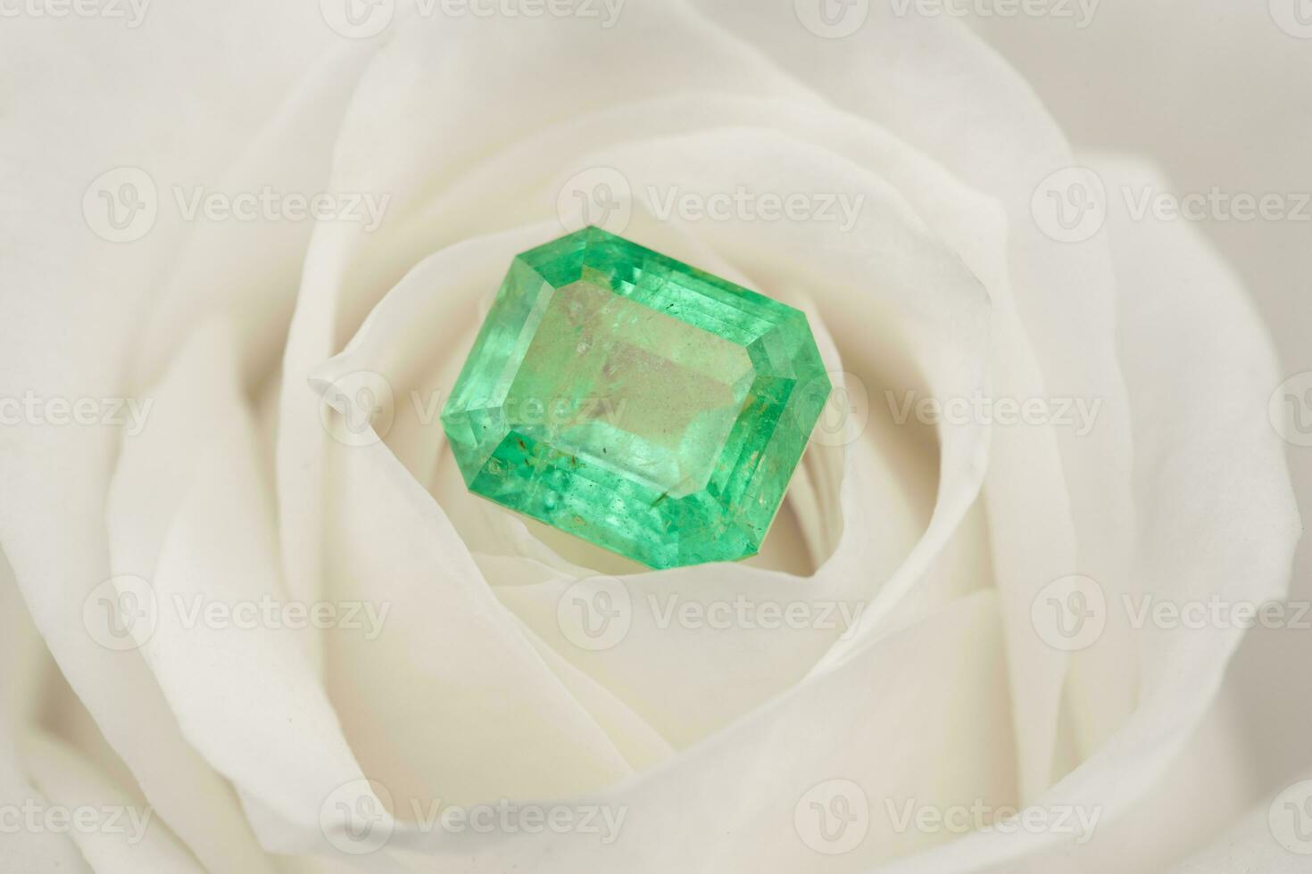 Esmeralda piedra preciosa en blanco Rosa pétalos foto