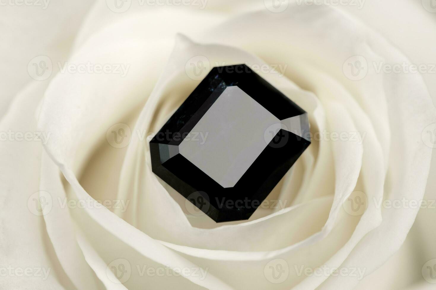 Black Diamond on White Rose Petals photo