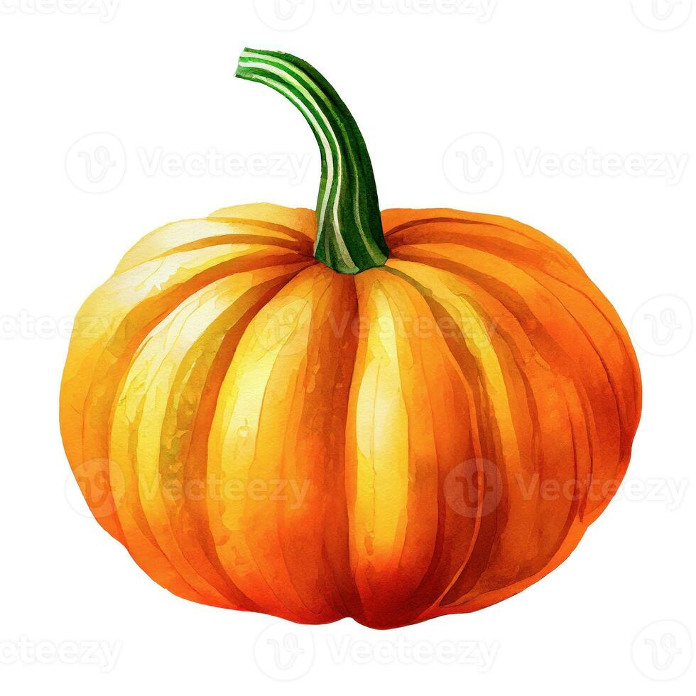 Pumpkin isolated on white background.  Watercolor illustration, ai generation. photo