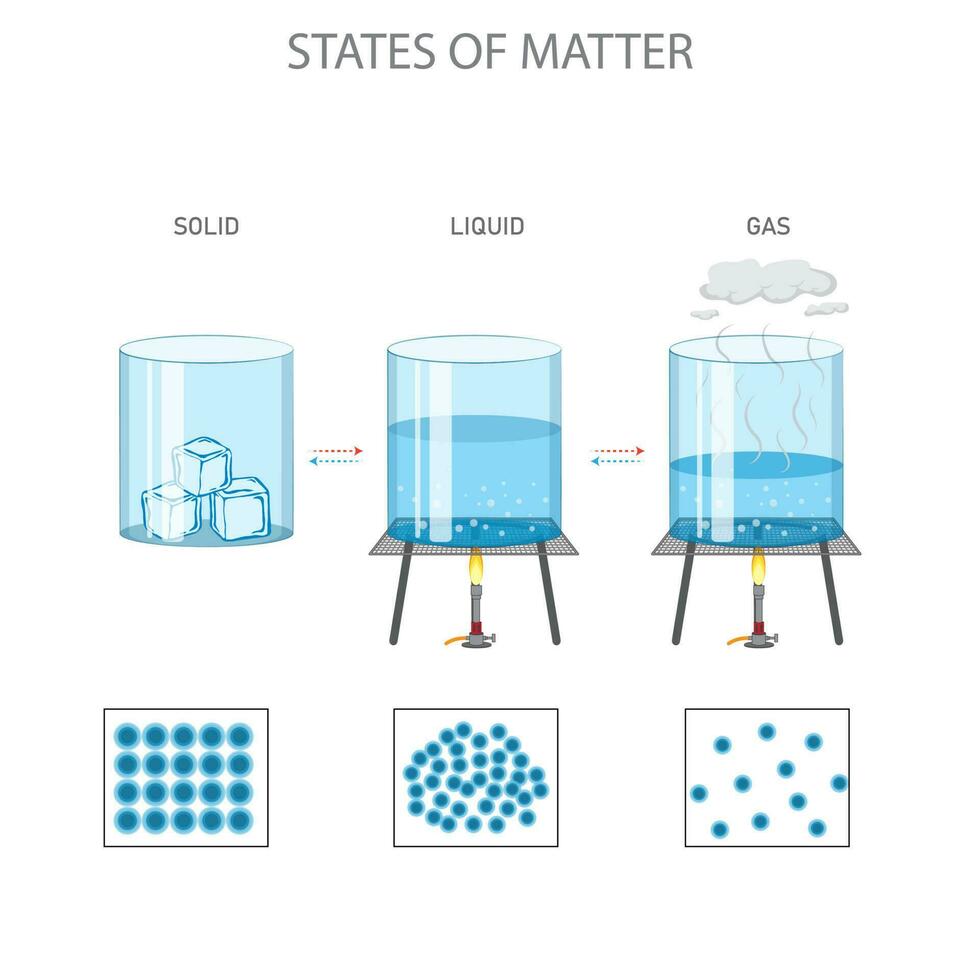 States of matter, solid, liquid, gas differ in particle arrangement and energy vector