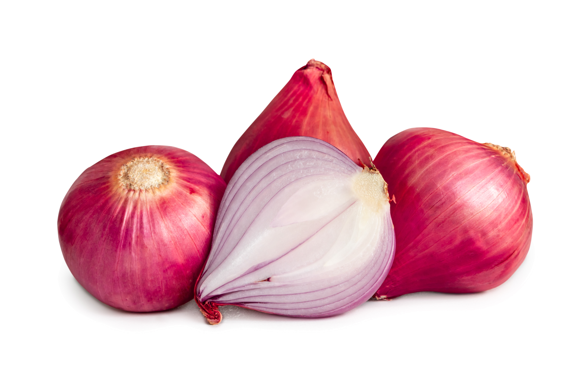 Fresh red onions with half isolated with clipping path and shadow in