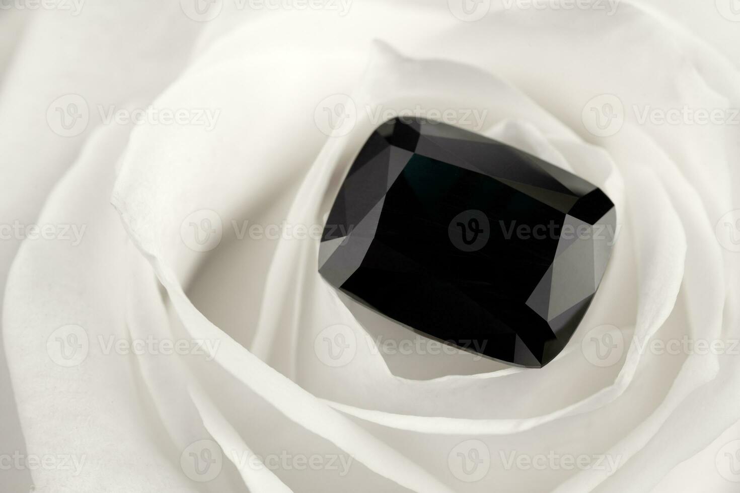 Black Diamond on White Rose Petals photo