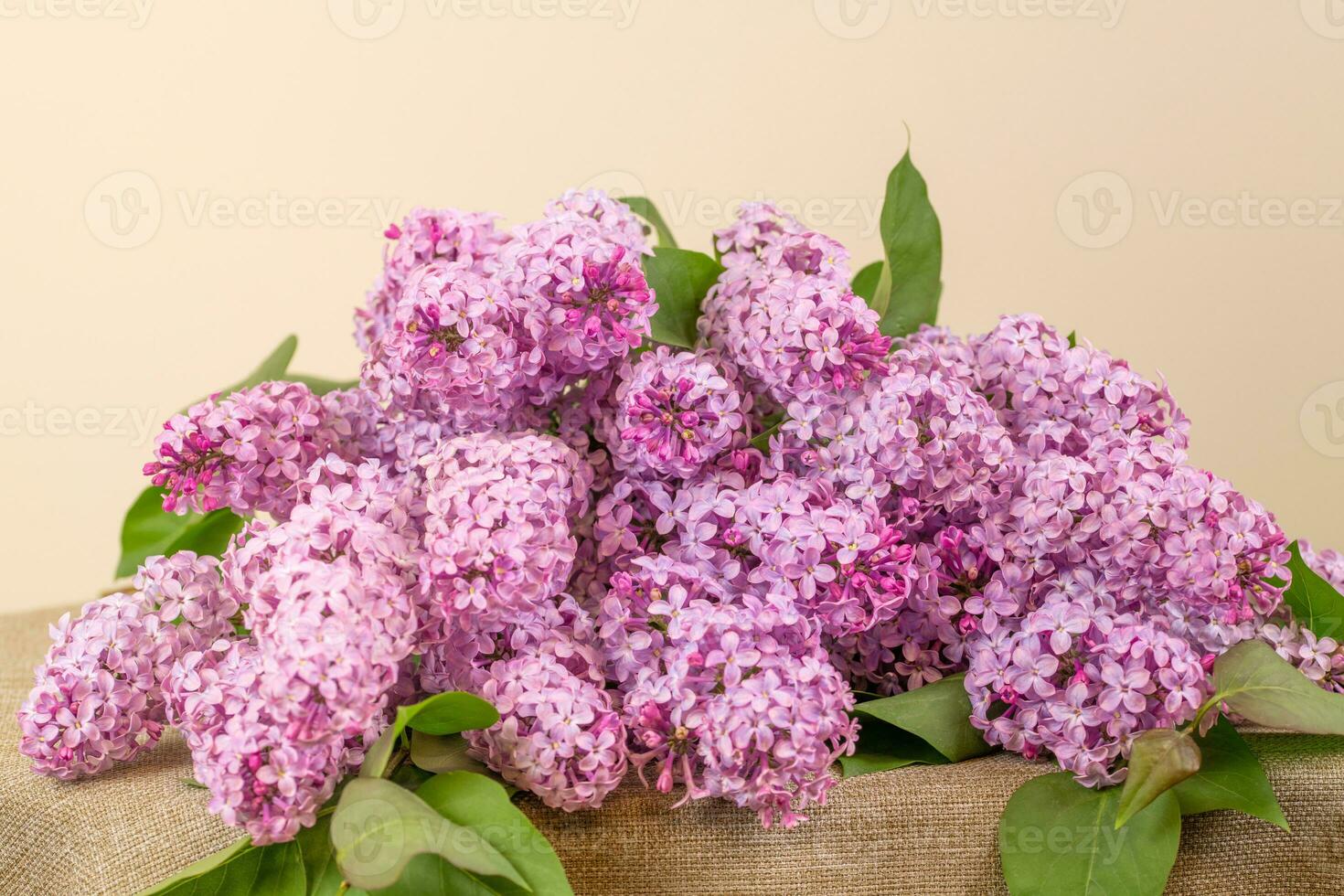 Violet Pink Lilac Flowers Bouquet on Table photo