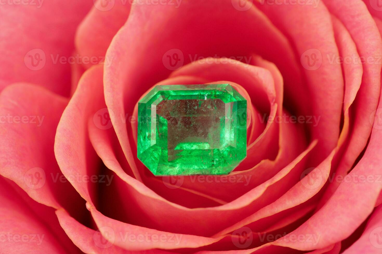 Emerald Stone on Pink Rose Flower Petals photo