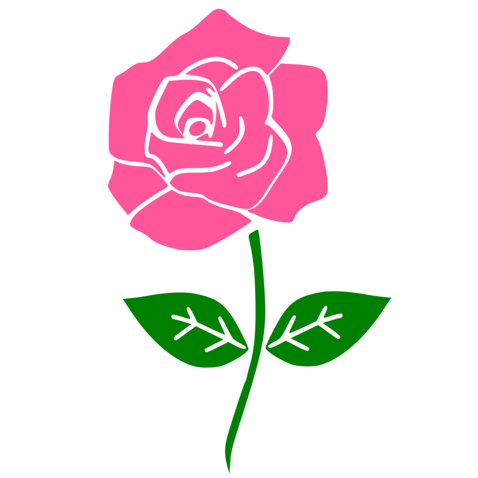 pink rose with leaves 24348621 PNG