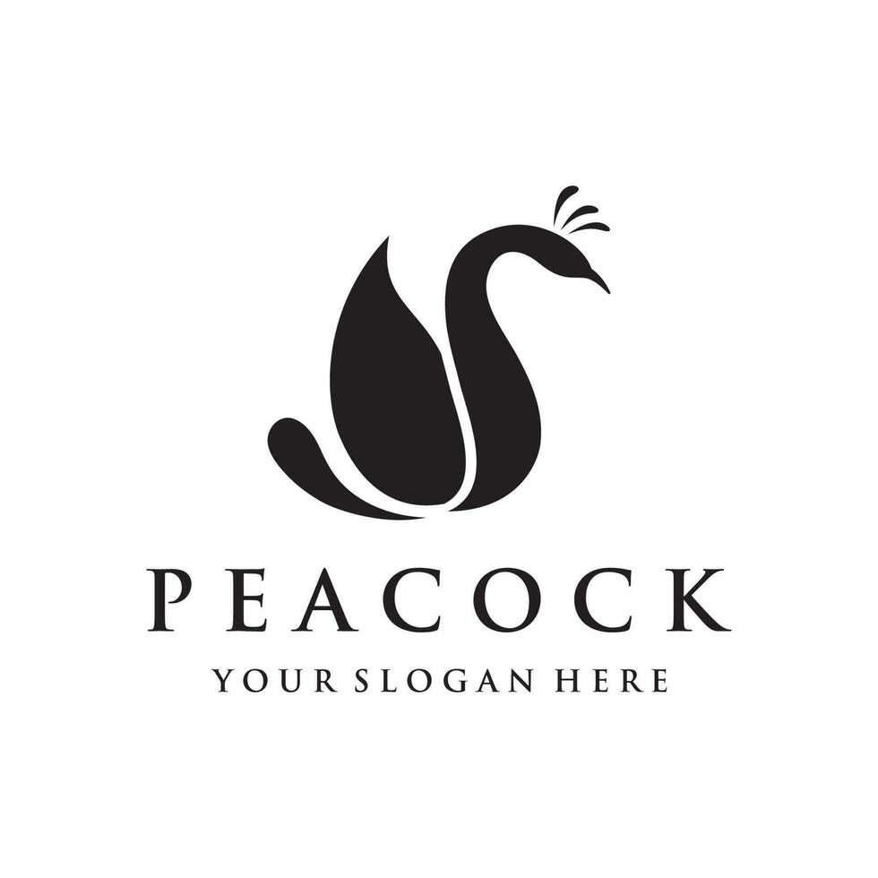 Creative peacock and peacock feather logo template design-Vector illustration. vector