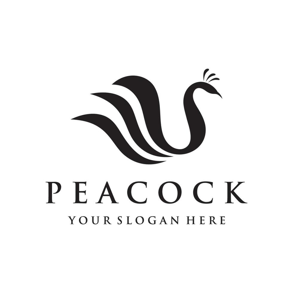 Creative peacock and peacock feather logo template design-Vector illustration. vector
