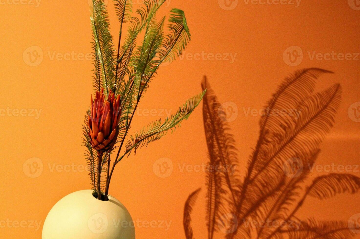 Leaves of fern in white vase with embossed deep shadows in sunlight on a orange background wall. Minimal modern interior decoration. Eco nature concept. Botanical design. photo