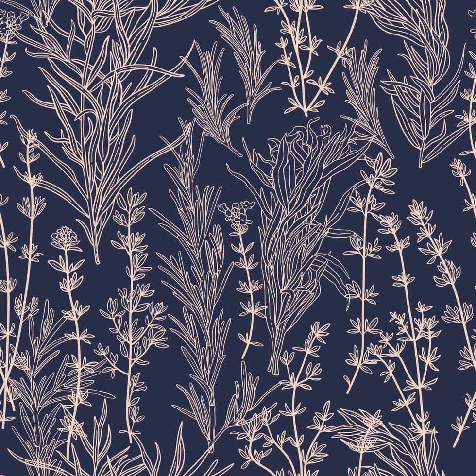 Spicy aromatic herbs seamless pattern. Hand drawn rosemary, thyme and tarragon branches on dark blue background vector