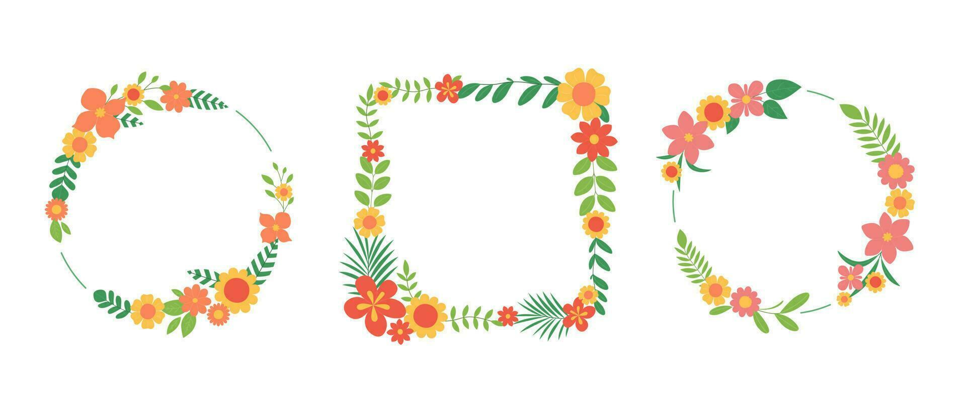 conjunto de vistoso floral marcos redondo y cuadrado coronas de flores y hojas. vector plano ilustración aislado en blanco antecedentes