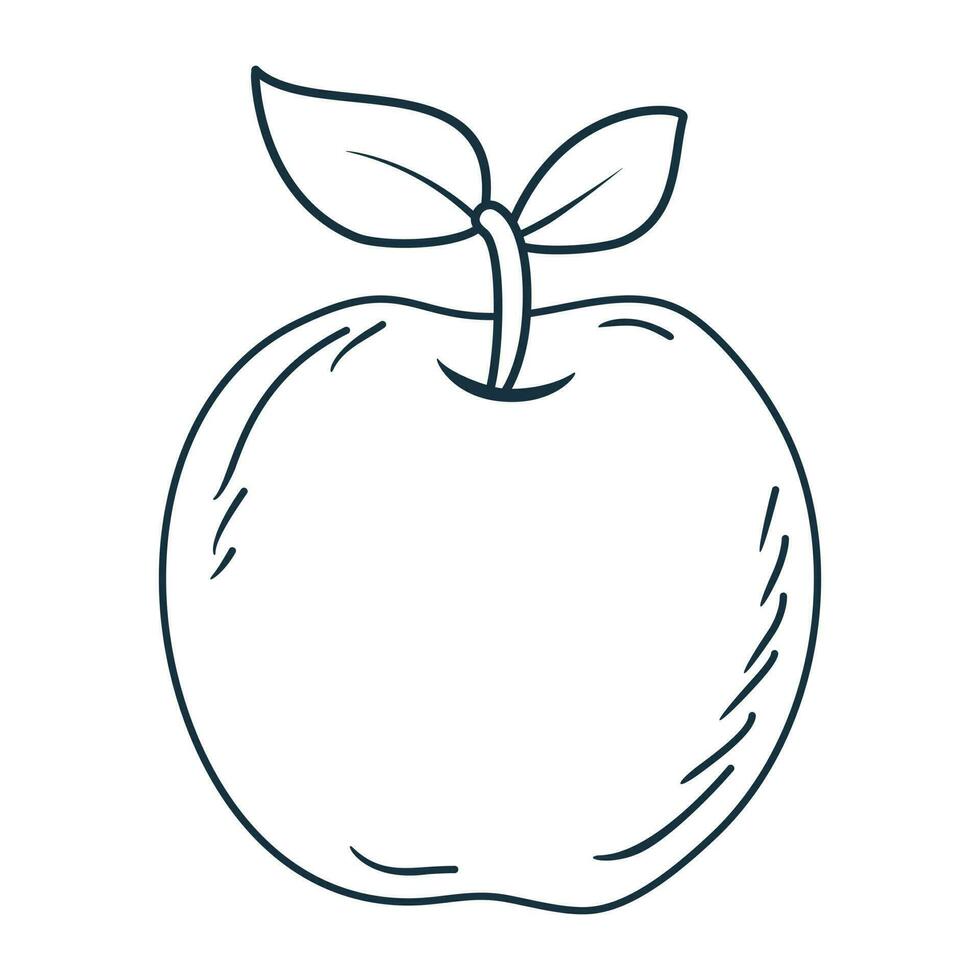 Apple fruit hand drawn outline doodle icon vector