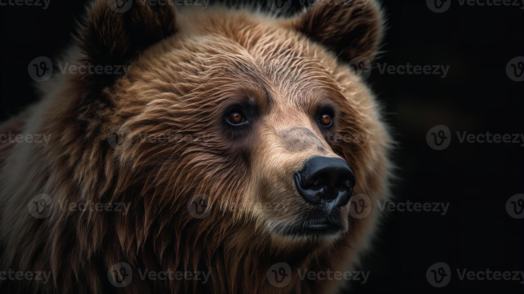 The Stoic Wisdom of the Kodiak Bear photo