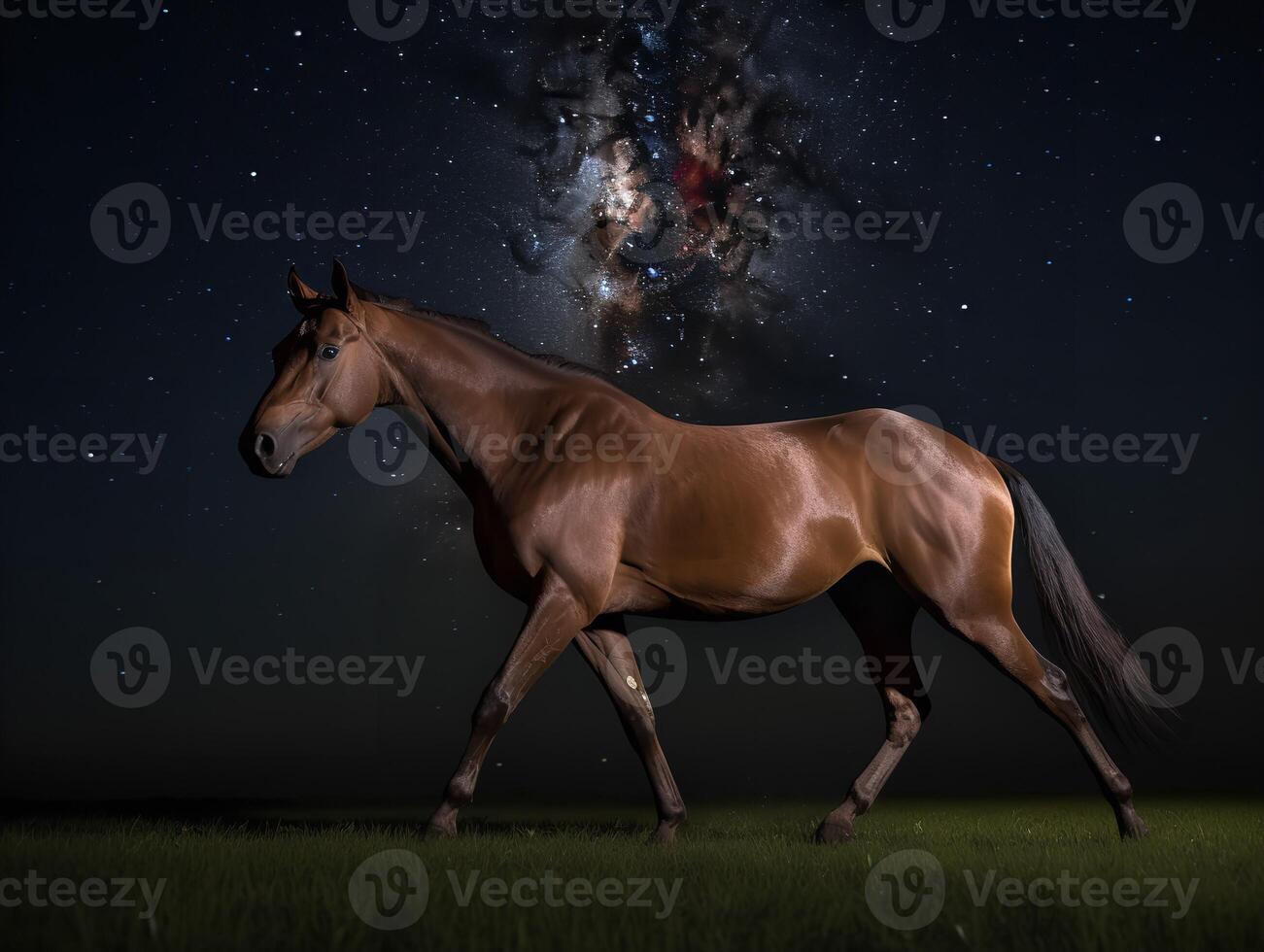 A Night Under Stars at The Irish Derby photo