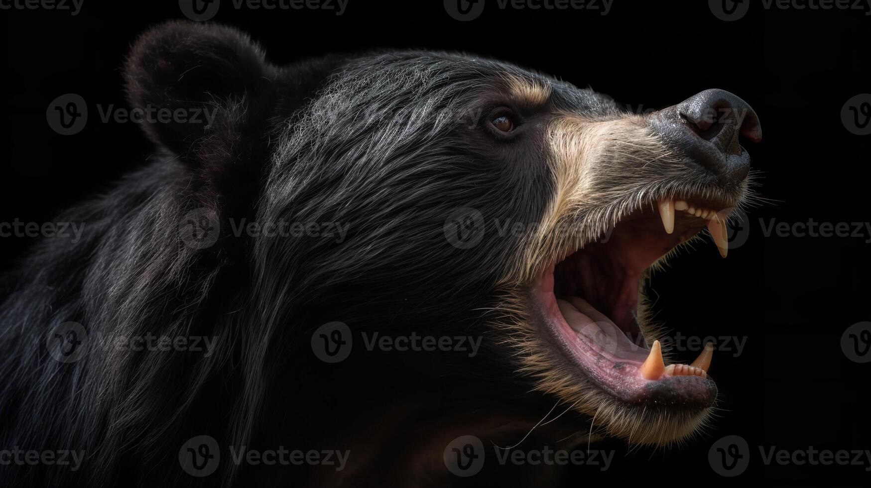 Unleashing the Power of the Spectacled Bear photo