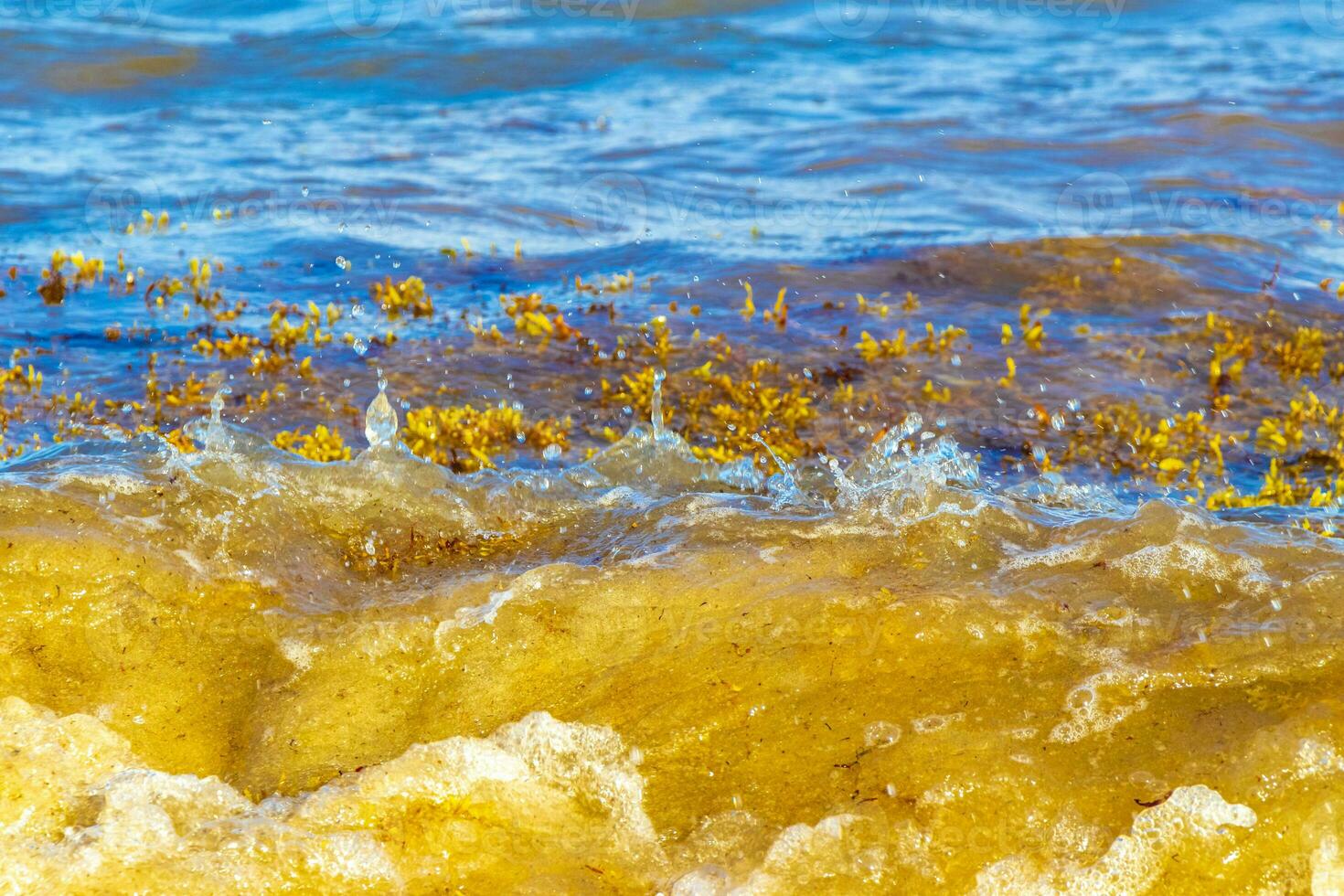 hermosa playa caribeña totalmente sucia sucio asqueroso problema de algas mexico. foto