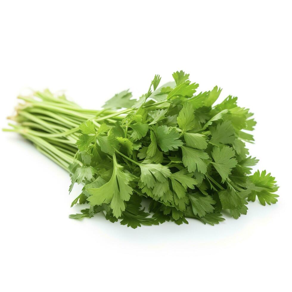 fresh cilantro coriander isolated on white background, generate ai photo