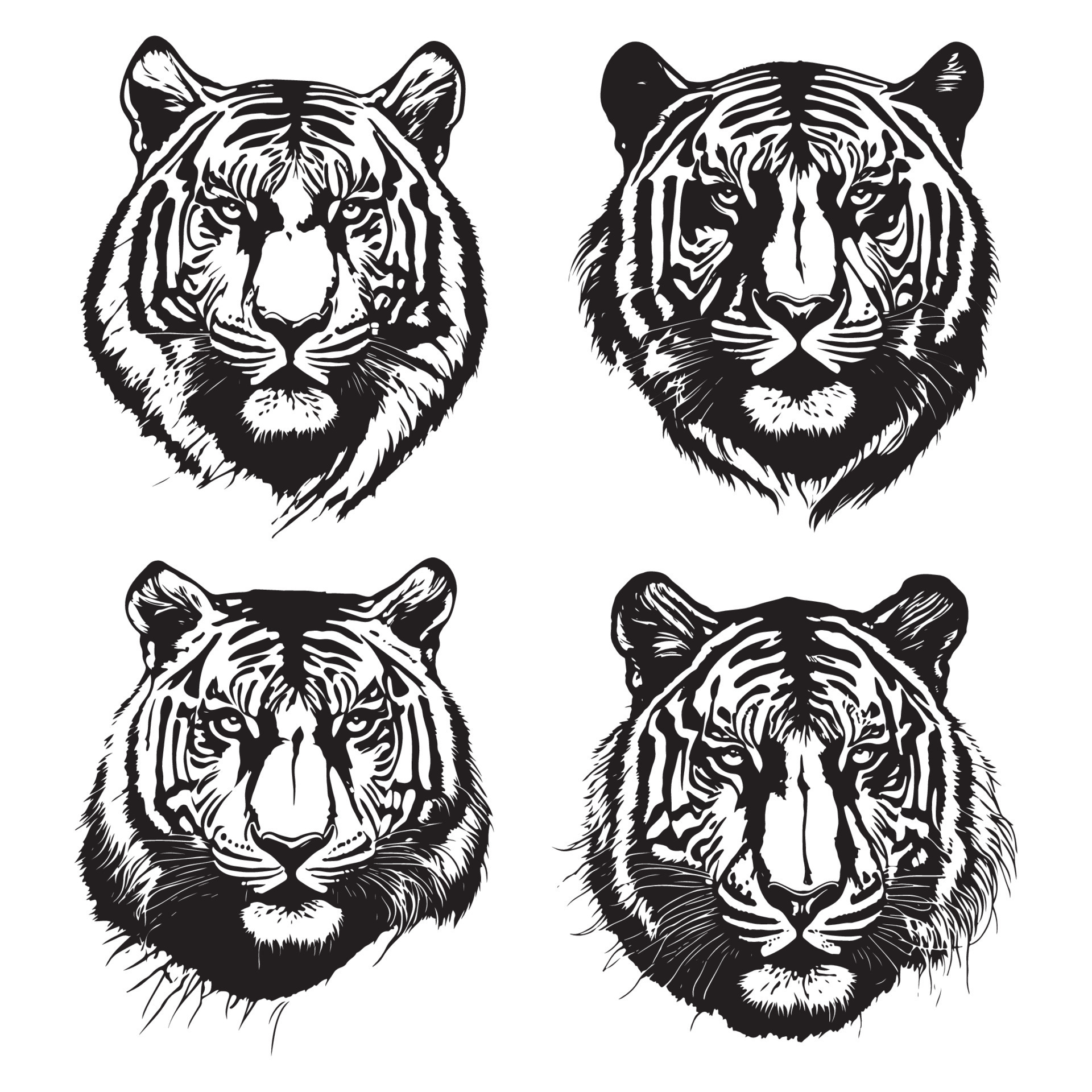 Tiger drawing black and white version by JelleBlue on DeviantArt