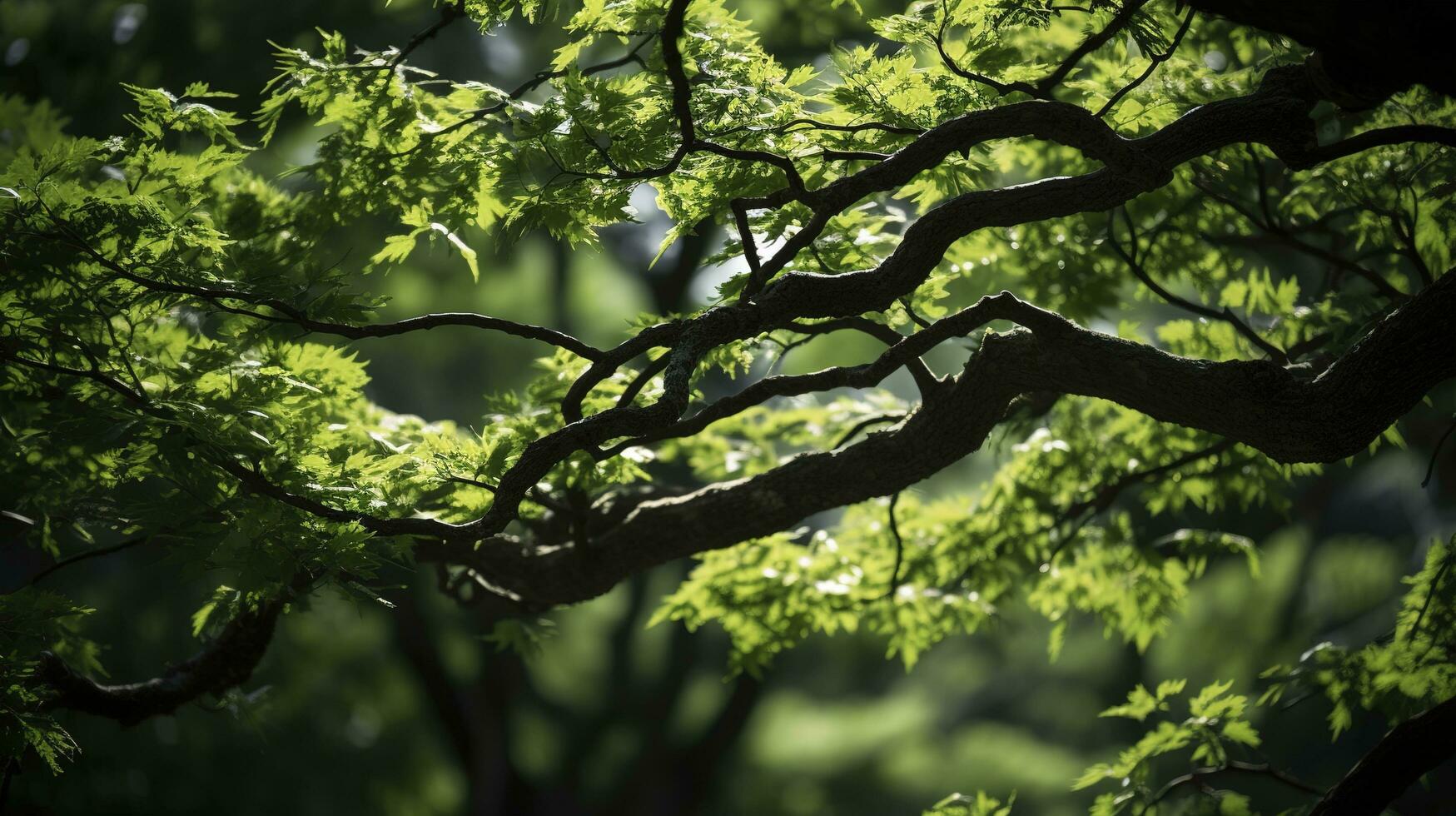 Earth Day and World Environment Day, Spring, Tropical tree leaves and branch with beautiful green forest background, generate ai photo