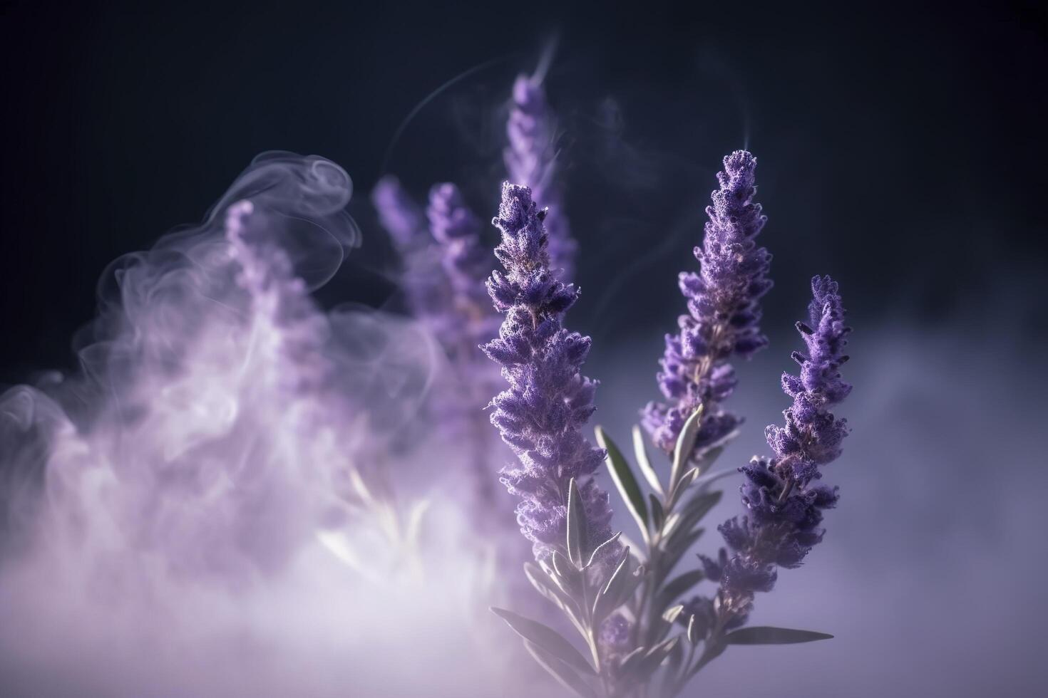 Close up lavender with scent perfume smoke , photo