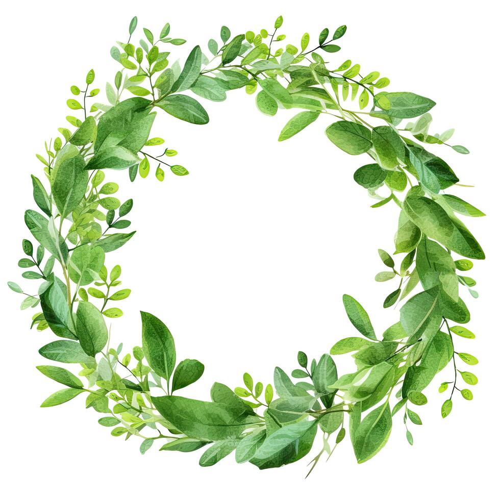 Green leaves watercolor wreath isolated. Illustration photo