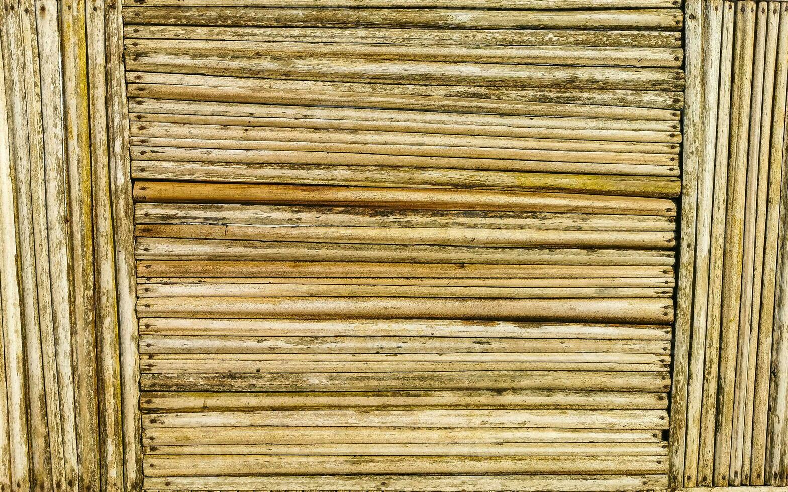 bambú madera pared y portón textura en puerto escondido México. foto