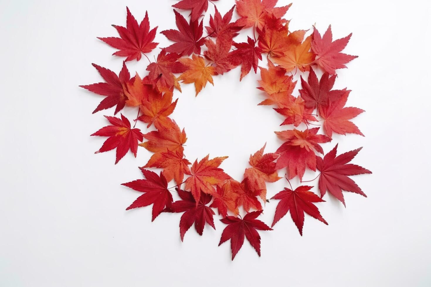 rojo arce hojas aislado en blanco fondo, generar ai foto