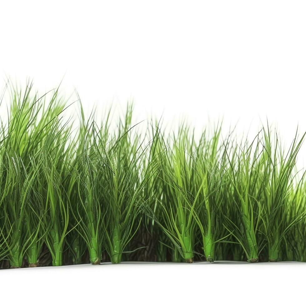 green grass field isolated on white background, generate ai photo