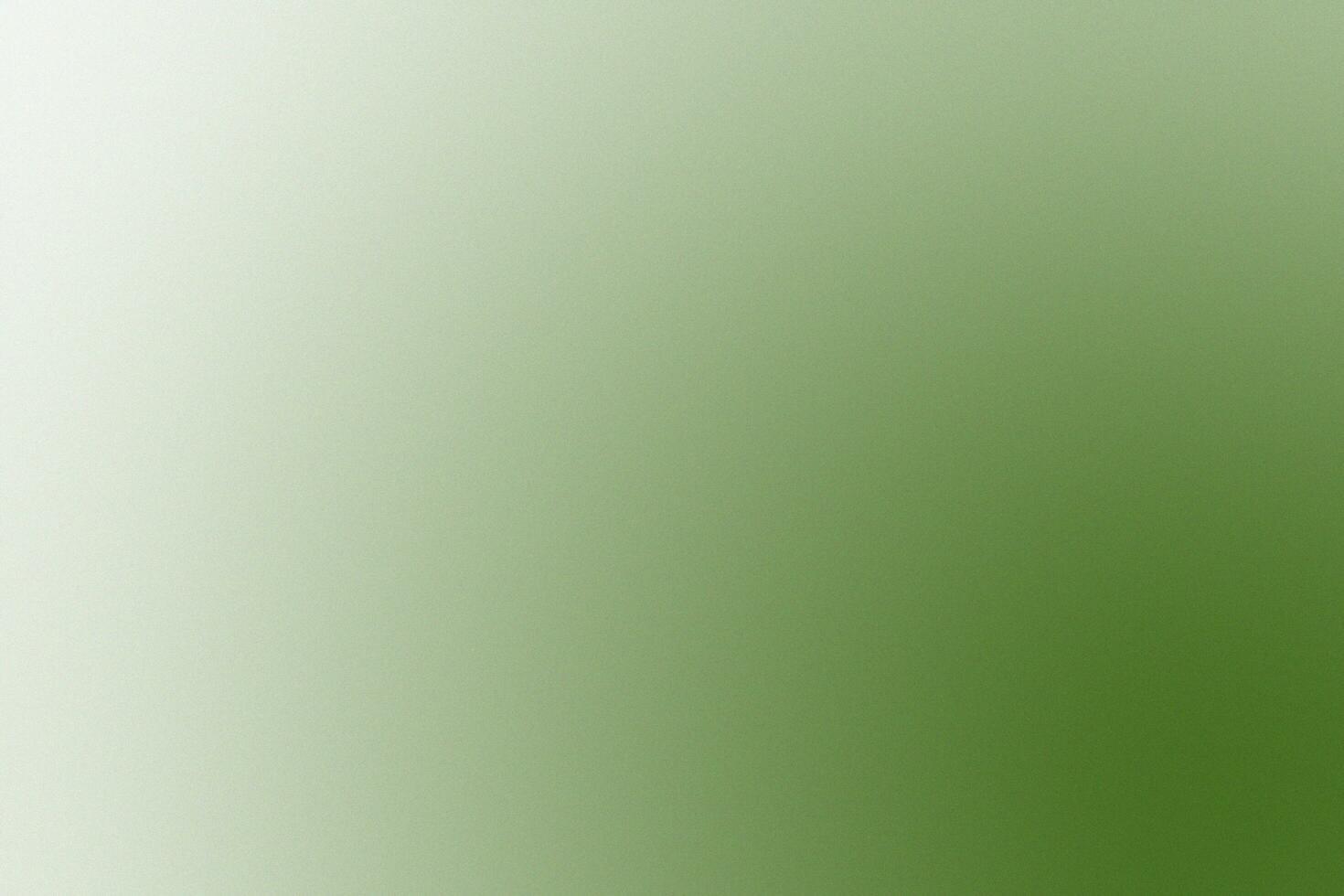 White and Green Gradient Background with Grainy Texture photo
