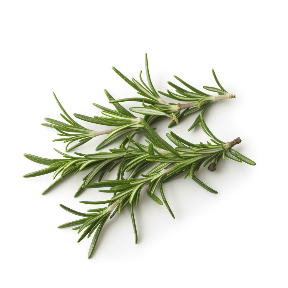 Fresh green organic rosemary leaves and pepper isolated on white background. natural transparent shadow, Ingredient, spice for cooking. collection for design, generate ai photo