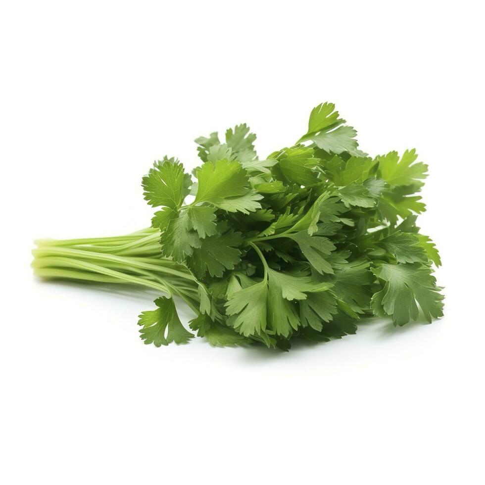 fresh cilantro coriander isolated on white background, generate ai photo