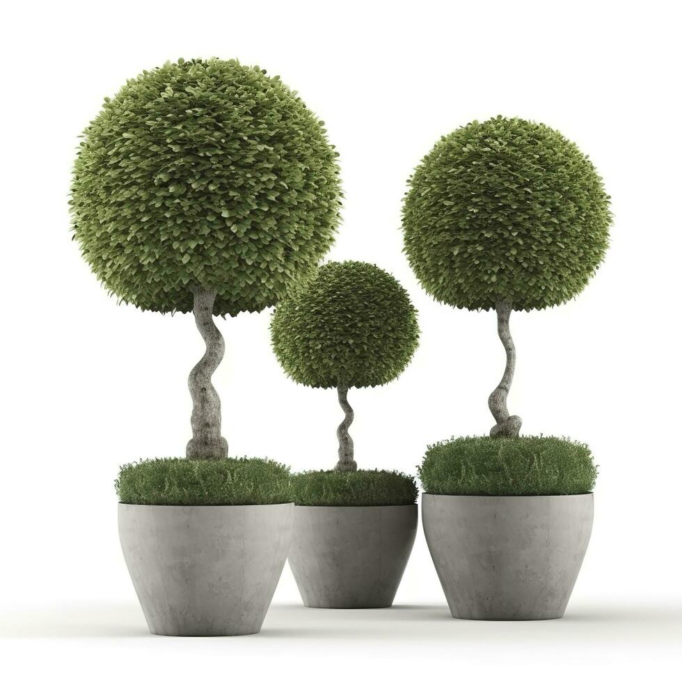 Topiary trees in the pot isolated on white background. 3D Rendering, 3D Illustration, generate ai photo