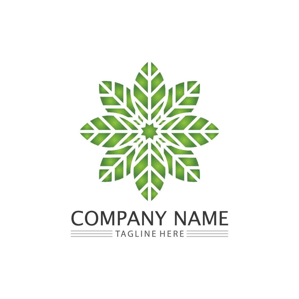 Tree leaf vector and green logo design friendly concept