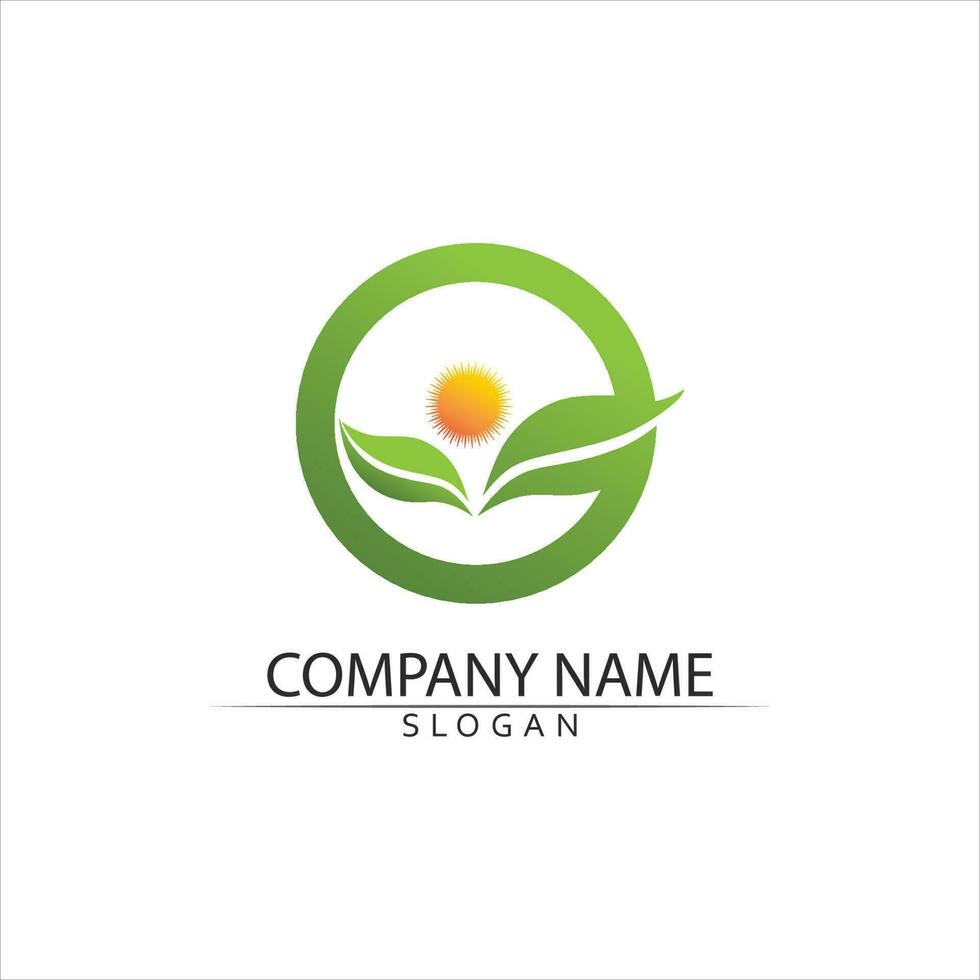 Tree leaf vector and green logo design friendly concept