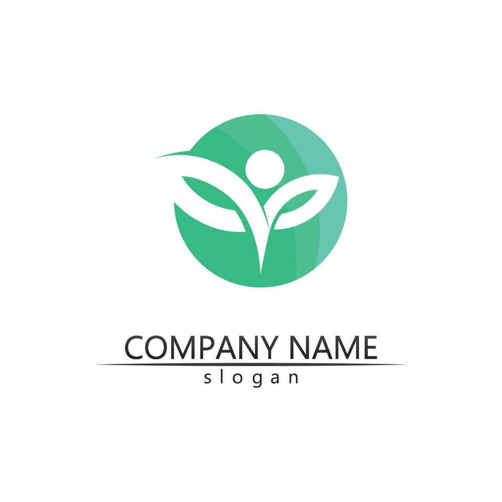 Tree leaf vector and green logo design friendly concept