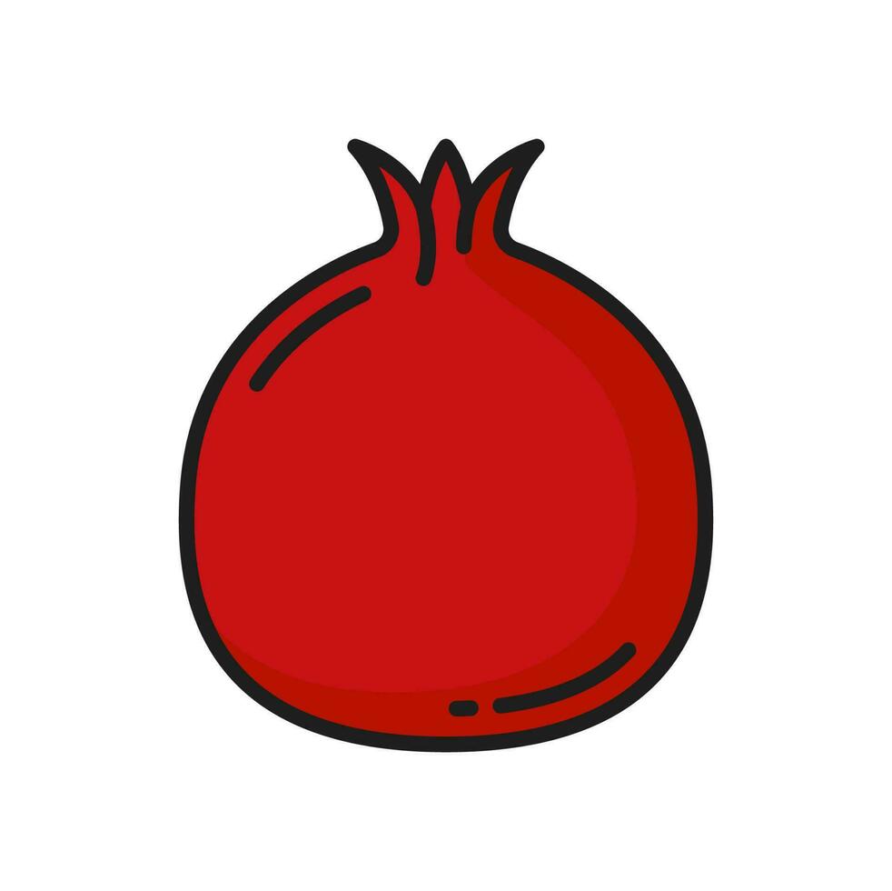 Fruit pomegranate isolated red garnet line icon vector
